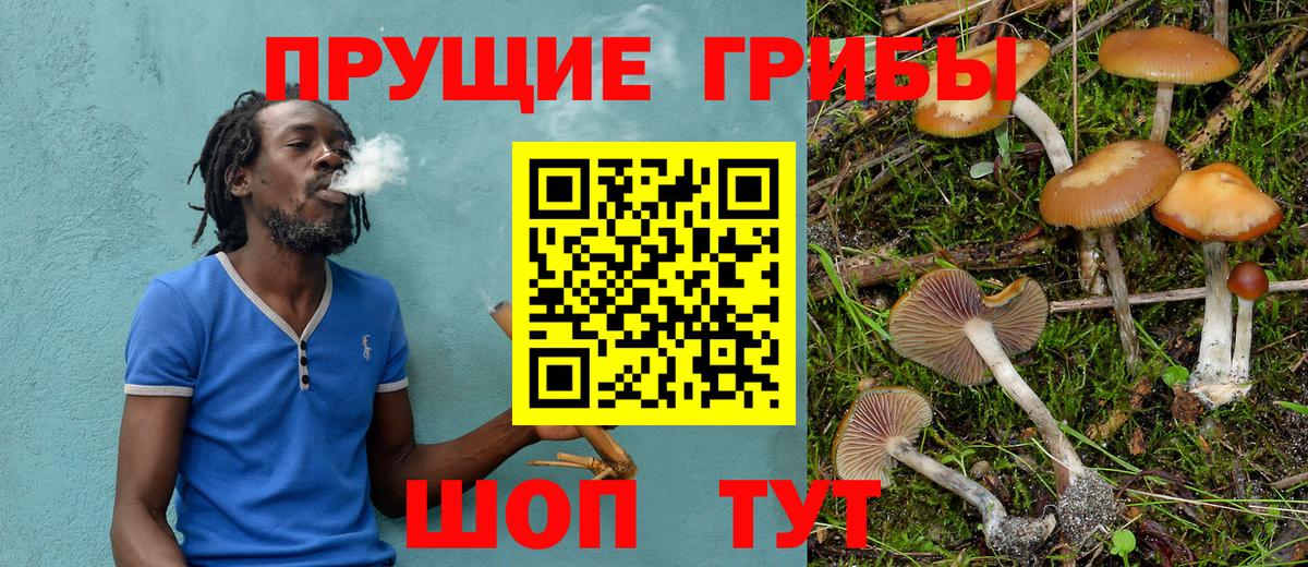 Галлюциногенные грибы Psilocybe  Вход с VPN  Назарово 