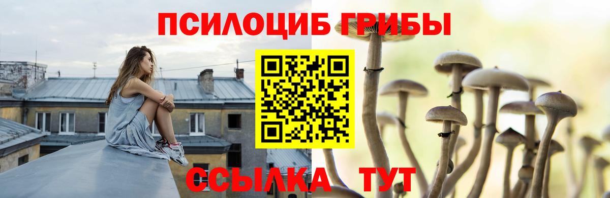 Псилоцибиновые грибы Magic Shrooms Назарово